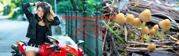 прущая мука Краснослободск