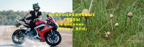 мдпв Куйбышев