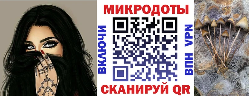 Псилоцибиновые грибы GOLDEN TEACHER  Купить где  Ефремов 